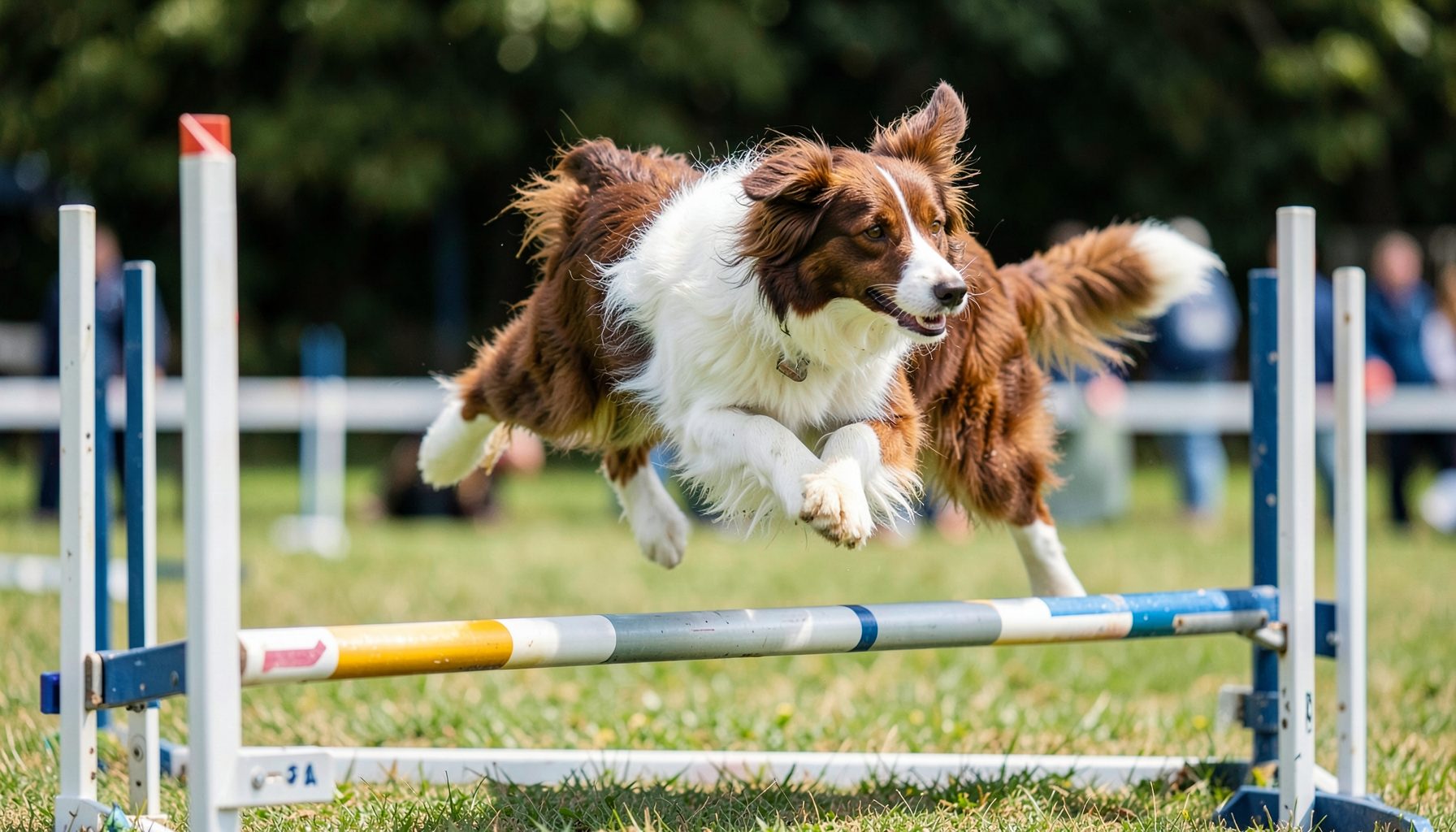 A border collie mid-stride clearing a bar jump on an agility course, rich browns and greens, focused and athletic mood